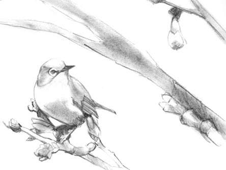 Bird with Spring Buds