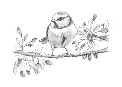 Bird with Apple Blossoms