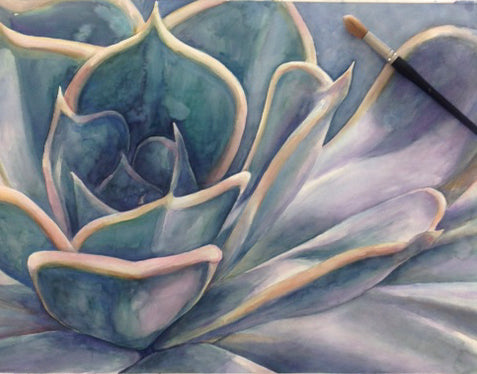 Succulent