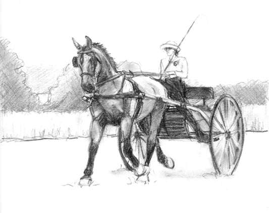 Walnut Hill Sketch